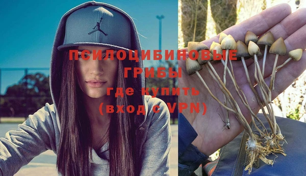 спайс Аркадак