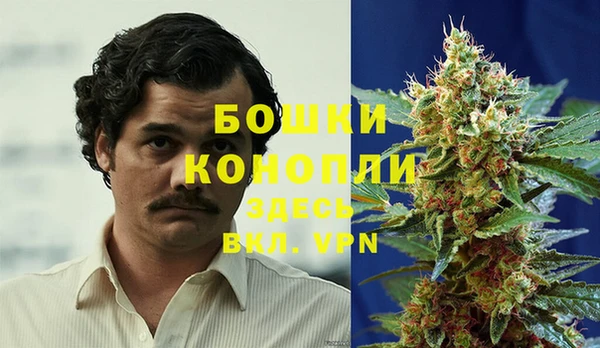 PSILOCYBIN Арсеньев