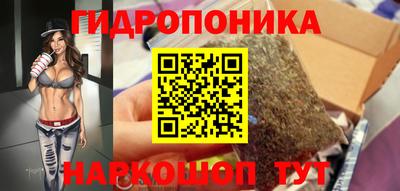 стафф Вязьма