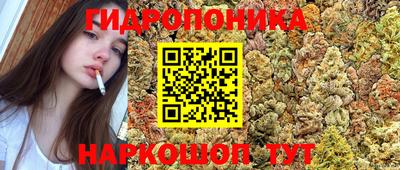 метадон Гудермес
