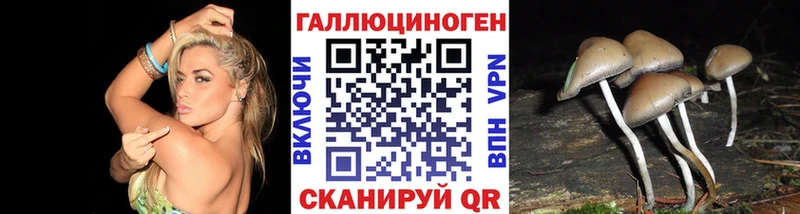 Галлюциногенные грибы GOLDEN TEACHER  даркнет сайт  кракен вход  Переславль-Залесский 